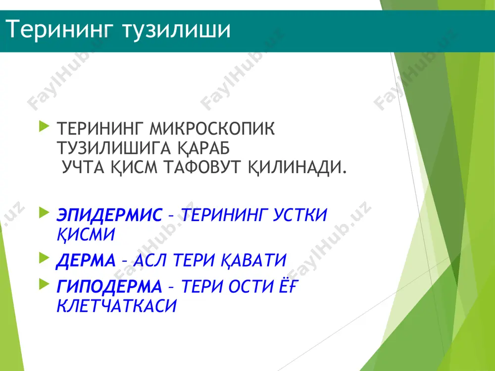 а ва хар хил сабаблар (қашлаш, иккиламчи инфекция ва бошқалар) туфайли тошмалар эволюцияга учраб, дастлабки кўринишини ўзгартириши мумкин. шунинг учун қандай тошмалар ушбу касалликнинг типик манзараси учун хослиги ва қайсилари эволюция оқибатида пайдо бўлганини фарқ қилиш жуда мухим. бирламчи ва иккиламчи морфологик элементлар тафовут қилинади бирламчи морфологик элементлар –ўзгармаган терида биринчи бўлиб пайдо бўлган тошмалардир. уларга доғ. тугунча, дўмбоқча, тугун, (булар инфильтратив тоифадаги бирламчи элементлардир) торвоқ, пуфак, пуфакча, йирингча ёки мадда (булар эксудатив тоифадаги бирламчи элементлардир) киради. бирламчи элементлар бўшлиқли ва бўлиқсиз деб икки хил тоифага ажратилади. бўшлиқсизларга доғ, тугунча, тугун, дўмбоқча, торвоқ киради, қолганлари бўшлиқлидирлар. иккиламчи морфологик элементлар — булар бирламчи элементларнинг эволюцияси (ўзгариши) оқибатида улардан пайдо бўлган тошмалардир. иккиламчи элементларга пигментация (гиперпигментация, гипопигментация), тангача, эрозия, тирналиш, яра, ёриқ, қалоқ, чандиқ, лихенификация, вегетация киради. бўшлиқли бирламчи элементлар бўшлиқли элементлар ичида сероз, геморрагик ёки йирингли суюқлик тутадилар. буларга пуфакча, пуфак ва мадда киради. бўшлиқсиз бирламчи элементлар бўшлиқсиз элементларга доғ, тугунча, …