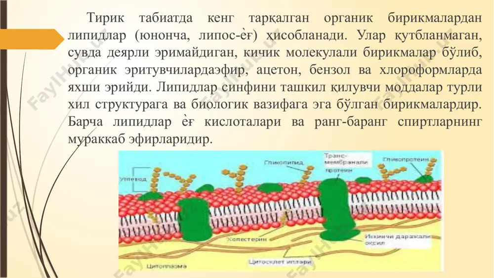 ҳайвонларнинг терисини мум билан қоплаб, уларни намланишдан сақлайди. эътиборингиз учун раҳмат! image2.png image3.png image4.png image5.png image6.png image7.png