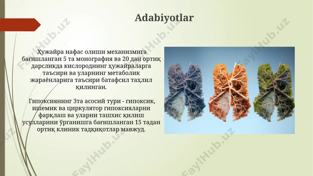 obinopatiyalar bilan bog'liq gipoksiya va ventilyatsiya-perfuziya nomutanosibligi bir vaqtning o'zida kuzatilishi mumkin, bu esa qonning kislorod bilan to'yinishini va to'qimalarga kislorod yetkazilishini sezilarli darajada pasaytiradi, 4-5 balli shkalada baholanadi. gipoksiyaning klinik ko'rinishlari gipoksiya bilan og'rigan bemorlarda teri qoplami siyanoz (ko'karish) bilan ifodalanadi, shuningdek, teri namligi va sovuqligi kuzatilishi mumkin. qon kislorod sathi (spo2) 90% dan past bo'ladi. markaziy asab tizimining gipoksiyaga reaksiyasi ongning buzilishi, bosh aylanishi, bosh og'rig'i, hushdan ketish, hatto koma holatiga qadar olib kelishi mumkin. bu holatlar arterial qonning kislorod to'yinganligi darajasiga bog'liq. patologik nafas olish turlari patologik nafas olishning 50 dan ortiq turi mavjud boʻlib, ularning 15 tasi asosan bolalarda, qolganlari esa kattalarda uchraydi, bu turli kasalliklar bilan bogʻliq. kussmaul nafas olishi – diabet ketoatsidozi kabi metabolik atsidozlarda uchraydigan chuqur va tez nafas olish turi boʻlib, bir daqiqada 40 martadan ortiq nafas olishni oʻz ichiga oladi. gipoksiyaning diagnostikasi gipoksiya tekshiruvida pulse-oksimetriya spo2 darajasini o'lchash yurak-qon tomir tizimining …