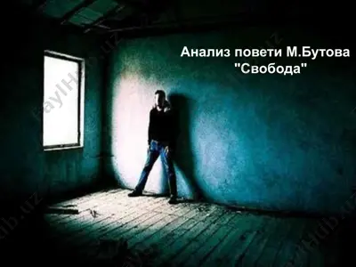 анализ повети м.бутова свобода — PPTX
