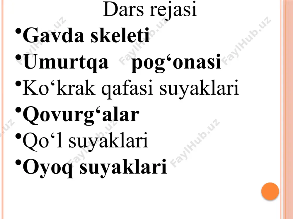 n 12-gacha bir oz yiriklashib boradi. umurtqa teshigi yumaloq bo‘ladi. ko‘krak umurtqalari tanasida qovurg‘aning boshi kelib birikishi uchun va yon o‘simtasida qovurg‘a dumbogi birikishi uchun bo‘g‘im yuzalari bo‘ladi. orqa o‘simtasi uzun, uchi qirrali bo‘lib, pastga bir-birining ustiga mingashib turadi. buyin umurtqalari (vertebrae carvicales) bo‘g‘im o‘simtalari qiyshiq, orqa o‘simtalari ayri shaklda, umurtqa teshigi uchburchak, mayda va yon o‘simtasida yon teshik bo‘lishi bilan boshqa umurtqalardan farq qiladi. bo‘yinning birinchi umurtqasi atlant, ikkinchisi aksis deyiladi. atlant halqa shaklida bo‘lib, tanasi va o‘tkir o‘simtasi bo‘lmasligi bilan bo‘yinning boshqa umurtqalaridan farq qiladi. atlantda orqa va oldingi yoylar bo‘lib, ularda oldingi va orqa do‘mboqlar bor. umurtqa teshigi boshqa umurtqalarnikidan kattaroq. aksis yoki ikkinchi bo‘yin umurtqasi tishsimon o‘simtasi bo‘lishi, yuqorigi bo‘gim o‘simtalari bo‘lmasligi bilan bo‘yinning boshqa umurtqalaridan farq qiladi. u bo‘yin umurtqasining orqa o‘simtasi uzun, yo‘g‘on va ikkiga ayrilmagan bo‘lib, tirik odamda teri ostida bilinib turadi. vertebra cervicalis secunda i - dens; 2- facies articularis posterior; 3- …