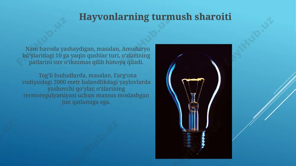 g intensivligi geografik kenglikka bog'liq bo'lib, masalan, toshkentda yil davomida 2500 dan ortiq quyoshli soat kuzatiladi, bu esa fotosintez jarayonini 15% ga tezlashtirishi mumkin. o'rta osiyo sharoitida, 30°c dan yuqori haroratlarda, ba'zi hayvonlar, jumladan, chuchuk suv baliqlari, quyosh nurining ta'siridan himoya qilish uchun 2-3 metr chuqurlikka cho'kadi. mutaxassislar bilan maslahatlashish farg'onadagi veterinariya mutaxassislari bilan suhbatlashish, hayvonlarning ko'z salomatligi va yorug'lik sezuvchanligi bo'yicha 20 ta ilmiy maqola va tadqiqot natijalariga tayanib, xavfsiz yorug'lik darajasini belgilashga yordam beradi. samarqanddagi yoritish mutaxassislari bilan hamkorlikda 500 dan ziyod yorug'lik manbalari xususiyatlari, shu jumladan, ularning hayvonlarga ta'siri bo'yicha batafsil ma'lumotlarga ega bo'lishingiz mumkin. tabiiy yorug'lik manbalari tabiiy yorug'lik manbalarining intensivligi, masalan, quyosh nuri, geografik joylashuvga bog'liq bo'lib, ekvatorda yiliga 2500 dan ortiq quyosh soatlari kuzatiladi, tropik mintaqalarda esa bu raqam ancha past bo'ladi. o'simliklarning fotosintez jarayoni uchun zarur bo'lgan to'lqin uzunlikdagi nurlanishni (400-700 nm) ta'minlovchi asosiy tabiiy yorug'lik manbai quyoshdir, bundan tashqari oy va yulduzlar …