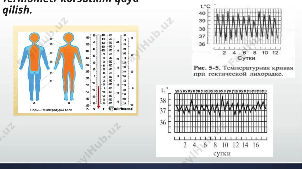 termometriya va tana haroratini o‘lchash. antropometriya. yotoq yaralari - Page 5