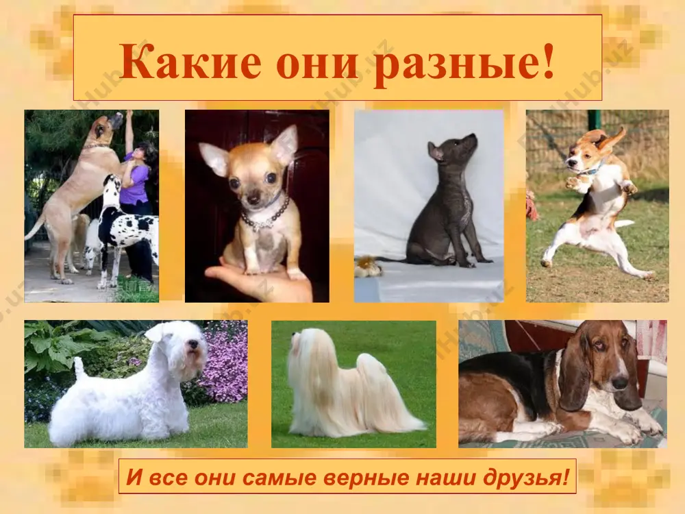 начало дружбы - Page 3