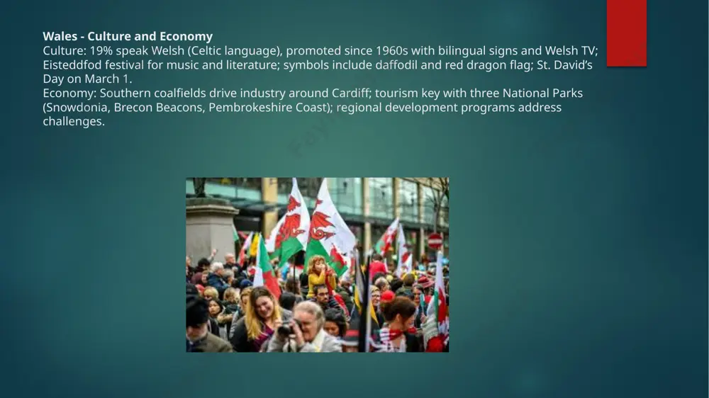 the country study presentation - Page 5