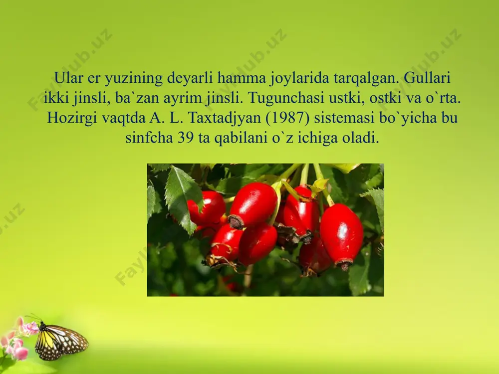 ra'noguldoshlar oilasi - Page 4