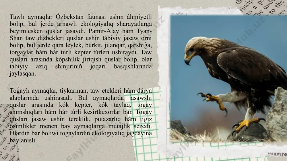 ap, jerde uya saladı. suw basseynleri quslar ushın azıqlıq hám kóbeyiw kózqarasınan eń áhmietli ortalıqlardan biri bolıp esaplanadı. ózbekstan aymaģında bar bolgan kóller, dáryalar hám suw saqlaģishları suw qusları, balıq awlawshı quslar hám batpaq zonasında jasawshı túrler ushın qolaylı orın esaplanadı. kóllerde aqquw, qızıl quw, aq láylek, balıqshi quslar, qırģawıllar, totiquslar hám batpaqlıqta jasaytuģın hár túrli tawıq tárizli quslar ushiraydı. bul jerler kóship júriwshi quslar ushın da áhmietli toqtaw punkti bolıp esaplanadı. dala poyasları bolsa ashıq, ósimlikler menen qaplangan maydanlar bolip, kóplegen mayda quslar ushın jasaw orni esaplanadı. bul aymaqlarda quslardıń tiykarģı azıq dáregi tuqımlar, mayda jánlikler hám ósimlik bólekleri bolip tabıladı. dala quslarına torgaylar, jayra, arxar qusi, qırģiy, keklik sıyaqlılar kiredi. ayırım jaǵdaylarda dalada jasawshı quslar insan iskerligine jaqın aymaqlarda da ushırasadı. photo by kadarius seegars on unsplash togay hám putazar aymaqları bolsa ózbekstannıń taw etekleri hám dárya alaplarında jaylasqan. bul jerler hár túrli terekler, putalar hám gewek jer …
