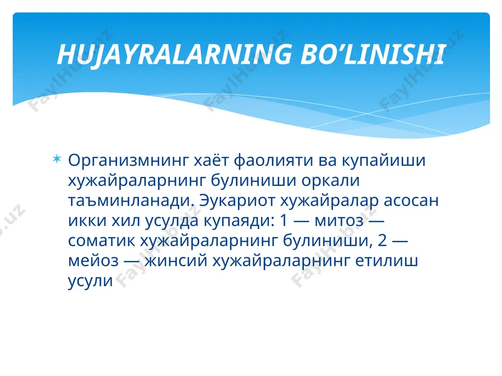 хужайра тенг икки кисмга булинади. telofaza mitoz митоз усулида булиниш давомида асосан 2 хил жараён кузатилади: 1) ядронинг булиниши — кариокинез, 2) цитоплазманинг булиниши — цитокинез. баъзан митознинг иккинчи кисми — цитокинез амалга ошмай колади. бунинг натижасида куп ядроли хужайралар хосил булади. mitozning ahamiyati mitoz natijasida yangi hosil bo’lgan hujayralar xuddi ona hujayranikiday xromasomalar soniga ega bo’ladi. mitoz – hujayra irsiy moddalarning yangi hosil bo’lgan hujayralarga teng miqdorda taqsimlanishini ta’minlovchi asosiy mexanizmdir mitozning ahamiyati mitoz organizmlarning embrional rivojlanishini, umri tugagan hujayralarning o’rni to’ldirilishini ta’minlaydi. organizmning jinssiz ko’payishi ham mitoz bo’linish asosida amalgam oshadi. meyoz жинсий усулда купаядиган организмларда узига хос булиниш усули мейоз кузатилади. мейоз (камайиш деган маънони англатади) натижасида хромасомаларнинг диплоид тупламига эга булган хужайралардан гаплоид тупламли жинсий хужайралар хосил булади. 1 profaza хар бир жуфтга мансуб (гомолог) хромосомалар бир-бирига якинлашиб, бир-бирига ёпишиб, ёнма-ён жойлашади. бу ходисани конъюгация дейилади баъзан конъюгациялашган хромосомалар бир-бири билан уз хромотидларининг ухшаш кисмларини алмашади. …