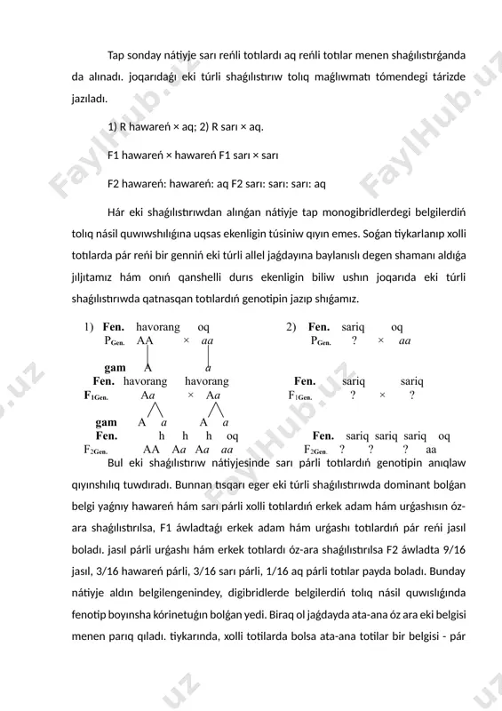 ń tolıq násil quwıwshılıǵına uqsas ekenligin túsiniw qıyın emes. soǵan tiykarlanıp xolli totılarda pár reńi bir genniń eki túrli allel jaǵdayına baylanıslı degen shamanı aldıǵa jıljıtamız hám onıń qanshelli durıs ekenligin biliw ushın joqarıda eki túrli shaǵılıstırıwda qatnasqan totılardıń genotipin jazıp shıǵamız. 1) fеn. havorang oq 2) fеn. sariq oq рgеn. аа × аа рgеn. ? × аа gam а а fеn. havorang havorang fеn. sariq sariq f1gеn. аа × аа f1gеn. ? × ? gam а а а а fеn. h h h оq fеn. sariq sariq sariq oq f2gеn. аа аа аа аа f2gеn. ? ? ? aa bul eki shaǵılıstırıw nátiyjesinde sarı párli totılardıń genotipin anıqlaw qıyınshılıq tuwdıradı. bunnan tısqarı eger eki túrli shaǵılıstırıwda dominant bolǵan belgi yaǵnıy hawareń hám sarı párli xolli totılardıń erkek adam hám urǵashısın óz-ara shaǵılıstırılsa, f1 áwladtaǵı erkek adam hám urǵashı totılardıń pár reńi jasıl boladı. jasıl párli urǵashı hám erkek totılardı …