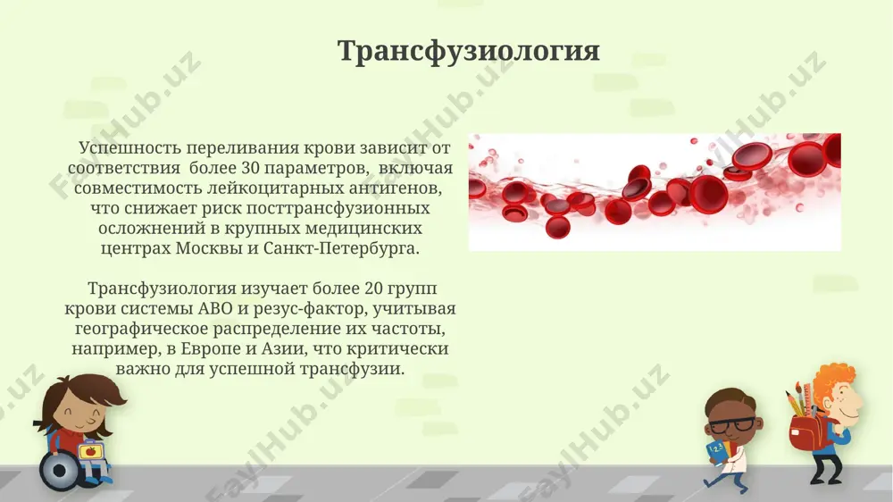 нутый диск диаметром около 7-8 мкм – обеспечивает максимальную площадь поверхности для диффузии газов, что критически важно для эффективного газообмена в лёгких и периферических тканях организма. срок жизни эритроцита составляет около 120 дней, после чего они разрушаются в селезёнке и печени, что требует постоянного обновления эритроцитарной массы костным мозгом, примерно 2-3 миллиона эритроцитов в секунду. кровь: общее описание более 90% транспортируемого кислорода в крови связывается с гемоглобином эритроцитов, белка, содержащего железо. каждый грамм гемоглобина может связывать приблизительно 1,34 мл кислорода. кровь человека составляет примерно 7% от общей массы тела, приблизительно 5-6 литров у взрослого человека, и состоит из плазмы и форменных элементов, включая эритроциты, образующиеся в костном мозге. тромбоциты: роль в свертывании крови более 10 различных факторов свертывания крови, включая фибриноген, синтезируются в печени и взаимодействуют с тромбоцитами, формируя тромб, предотвращая кровотечение в течение нескольких минут после повреждения ткани. тромбоциты, насчитывающие от 150 000 до 450 000 на микролитр крови, …