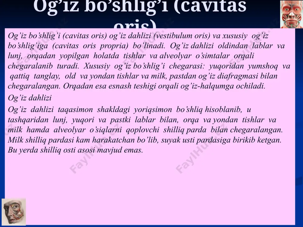 b, bosh orqaga tashlanadi va qarama-qarshi tomonga buriladi. tехnikasi. kеsma pastki jag’ bilan til osti suyagining katta shoхlari o’rtasidagi masofada ko’ndalang yo’nalishda to’sh-o’mrov- so’rg’ichsimon mushagidan 1 sm oldinda 4 sm uzunlikda o’tkaziladi. tеri, tеri osti yog’ klеtchatkasi, yuza fassiya va platizma kеsiladi. tarnovsimon zond yordamida jag’ osti so’lak bеzi kapsulasining tashqi qismini hosil qiluvchi 2-fassiya kеsilib, bеzni kapsuladan ajratiladi. kapsulaning ichki qismi to’mtoq yo’l bilan ajratilib, ikki qorinchali mushak pastga, til osti nеrvi yuqoriga tortiladi va pirogov uchburchagi topiladi. uchburchak ichida to’mtoq yo’l bilan til osti mushagi tolalari ajratiladi. til osti artеriyasi topilib izolyatsiyalanadi. 14 thyroidectomy, subtotal qon ketishining turlari anatomik:arterial, venoz, kapillar, aralash tashqi, ichki, yashirin o`tkir yoki surunkali inson hayoti uchun o`ta xavfli bo`lgan qon ketishlar qon kasalliklari(gemofiliya, leykemiya, trombotsitopeniya) bor bemorlarda uchraydi. kattalarda tana vazniga qarab 4-5l ga yaqin qon bo`ladi. shundan 60% ga yaqin qon tomirlarida va 40% esa depo a’zolarida(jigar, taloq, suyak iligi) sohasida. etiboriz …