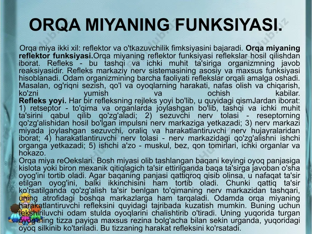 ohasidan bosh lab, to oyoqlarning oldingi yuzasi va oyoq bannoqlarigacha bo'lgan to'qima va organlarning sezish va harakatlanish funksiyasini boshqaradi; - orqa miyaning qaysi bir segmentida joylashgan nerv hujayralari va ularning nerv tolalari shikastlansa yoki kasallansa, o'sha joydagi nerv markazlaridan ta'minlanadigan to'qima va organlarning sezish va harakatlanish funksiyasi yo'qoladi, shu to'qima yoki muskul falajlanib qoladi. o'rta miya varoliy ko'prigining yuqorisida joylashgan bo'lib, unda to'rt tepalik, miya oyoqchalari va miya qorinchalarining suv yo'li bo'ladi. to'rt tepalikning oldingi 2 tasida po'stloq osti ko'rish markazlari, orqadagi 2 ta tepalikda esa po'stloq osti eshitish markazlari joylashgan. o'rta miyadagi qoramtir moddadan tashkil topgan nerv markazi ovqatni chaynash va yutish reflekslarini, qo'l barmoqlarining nozik harakatlarini boshqaradi. undagi qizil !ana muskullar tarangligini ta'minlaydi. o'rta miyada ko'z soqqasini harakatlantiruvchi va bloksimon nerv markazlari joylashgan. o'rta miya shikastlansa yoki kasallansa, uning yuqorida ko'rsa¬tilgan funksiyalari buziladi. buning natijasida odamning ko'rish, eshitish, ko'z soqqasini harakatlantirish qobiliyati yo'qoladi. o'rta miyadagi qizil tana shikastlansa, …