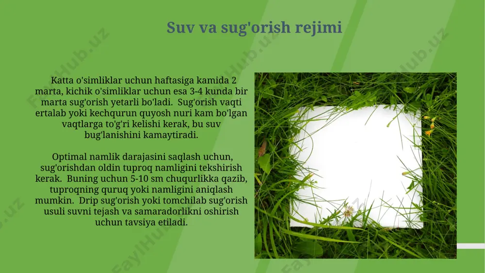 tabiat burchagida qo'yiladigan talablar - Page 3