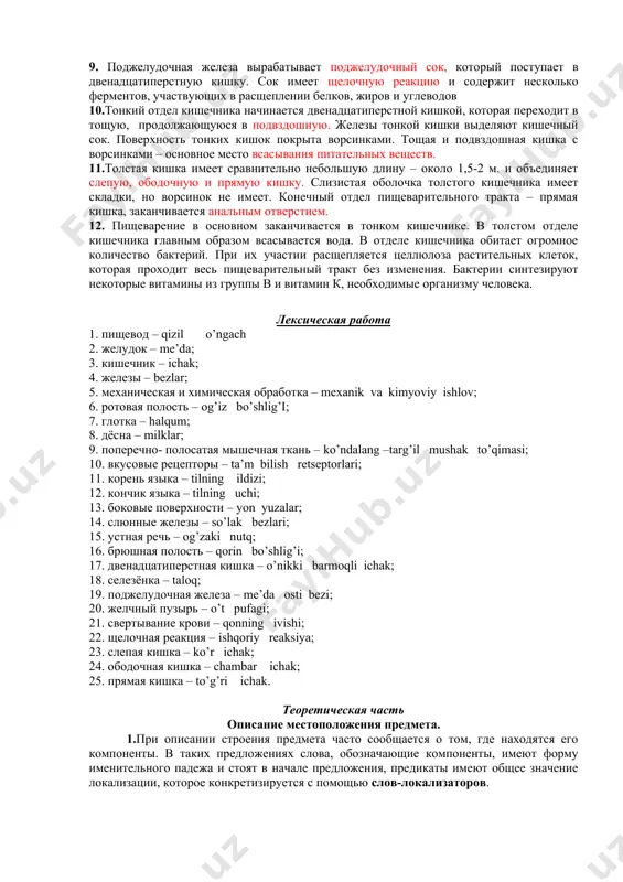 т в двенадцатиперстную кишку. желчь содержит 90% воды и 10% органических и минеральных веществ. печень участвует в процессе обмена углеводов. в ней синтезируются белки, фибриноген и протромбин, участвующие в свертывании крови. одновременно она обезвреживает некоторые ядовитые вещества. в печение расщепляются аминокислоты, в результате чего образуется аммиак, который превращается в мочевину. 9. поджелудочная железа вырабатывает поджелудочный сок, который поступает в двенадцатиперстную кишку. сок имеет щелочную реакцию и содержит несколько ферментов, участвующих в расщеплении белков, жиров и углеводов 10.тонкий отдел кишечника начинается двенадцатиперстной кишкой, которая переходит в тощую, продолжающуюся в подвздошную. железы тонкой кишки выделяют кишечный сок. поверхность тонких кишок покрыта ворсинками. тощая и подвздошная кишка с ворсинками – основное место всасывания питательных веществ. 11.толстая кишка имеет сравнительно небольшую длину – около 1,5-2 м. и объединяет слепую, ободочную и прямую кишку. слизистая оболочка толстого кишечника имеет складки, но ворсинок не имеет. конечный отдел пищеварительного тракта – прямая кишка, заканчивается анальным отверстием. 12. …