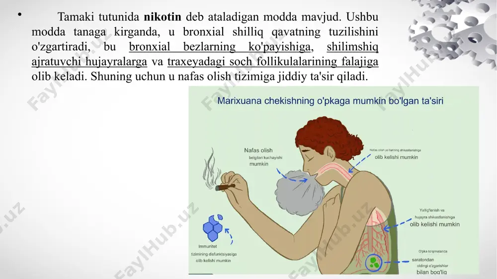 lash kerakki, ota-onasi homilador bo'lganida sigaret chekadigan bolalarda astma darajasi yuqori bo'lgan. shunga qaramay, nafas olish organlarining sog'lig'i bilan bog'liq bo'lgan barcha bolalar uchun ikkilamchi tutun ta'sirida sezilarli salbiy oqibatlar mavjud edi. chapda 1 yil davomidagi chekishning ta’siri o’ngda sog’lom chekmagan inson chekishning nafas olish tizimiga zarar etkazishi sekin, zamonaviy va o'limga olib keladi. sog'lom va muvozanatli nafas olish tizimi doimiy ravishda tozalanadi. nafas olish kanalchalarida hosil bo'lgan shilimshiq kasallik qo'zg'atuvchi mikroorganizmlarni ushlab turadi, ularni siliya og'iz bo'shlig'iga supurib tashlaydi va bu yerda ularni yo'q qilish mumkin. sigaret chekish buni sezilarli darajada buzadi. chekish surunkali obstruktiv o'pka kasalligi rivojlanishining asosiy xavf omilidir va chekishni tashlash ushbu kasallikning rivojlanishini oldini olish yoki kamaytirish uchun yagona samarali davolash usuli hisoblanadi. surunkali obstruktiv o'pka kasalligida bir nechta gistopatologik tadqiqotlar chekuvchilarda havo yo'llarining yallig'lanishi davom etishini ko'rsatadi. shunga qaramay, ko'plab tadqiqotlar shuni ko'rsatdiki, chekishni tashlash bir soniyada majburiy ekspiratuar hajmning tez sur'atlarda pasayishini yaxshilaydi, …