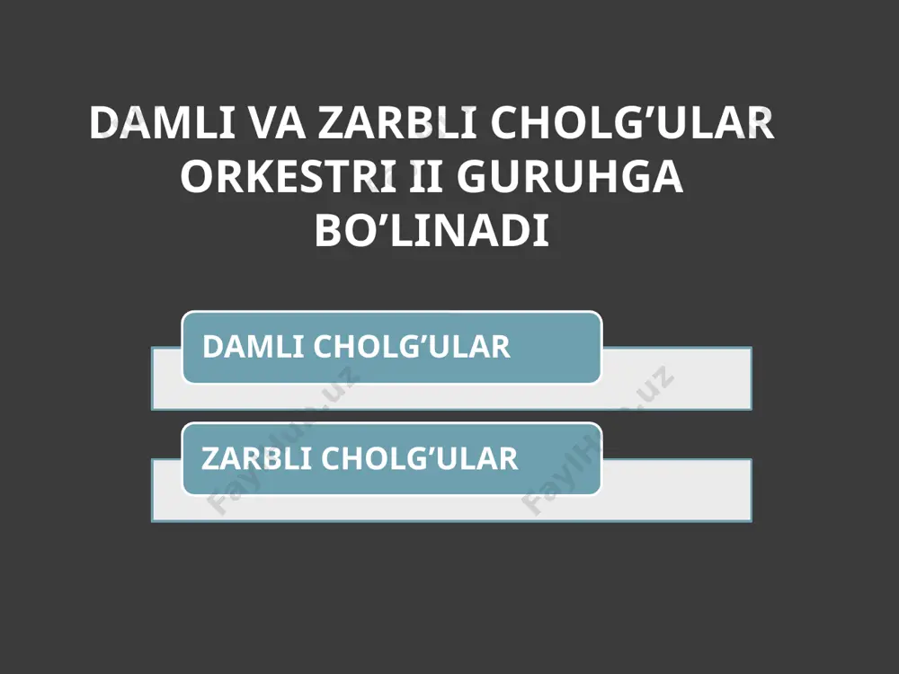 damli va zarbli cholg’ular orkestri - Page 2