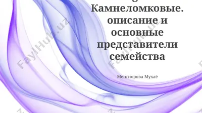 saxifragaceae — камнеломковые — PPTX