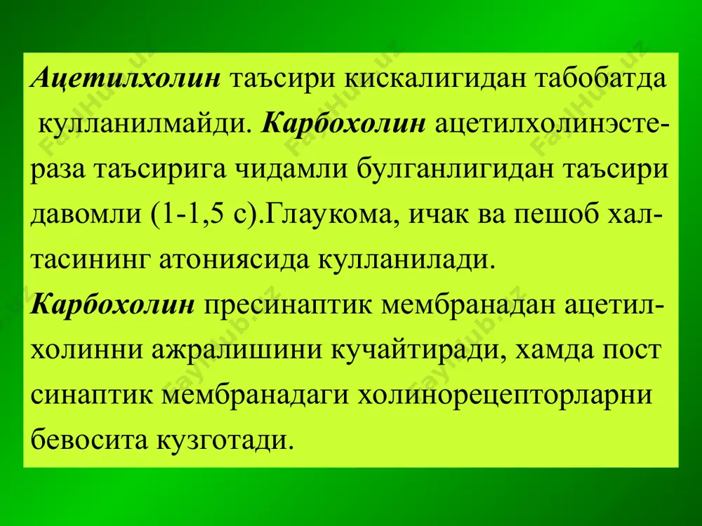 м-ва н- хрларга таъсир этувчилар - Page 3