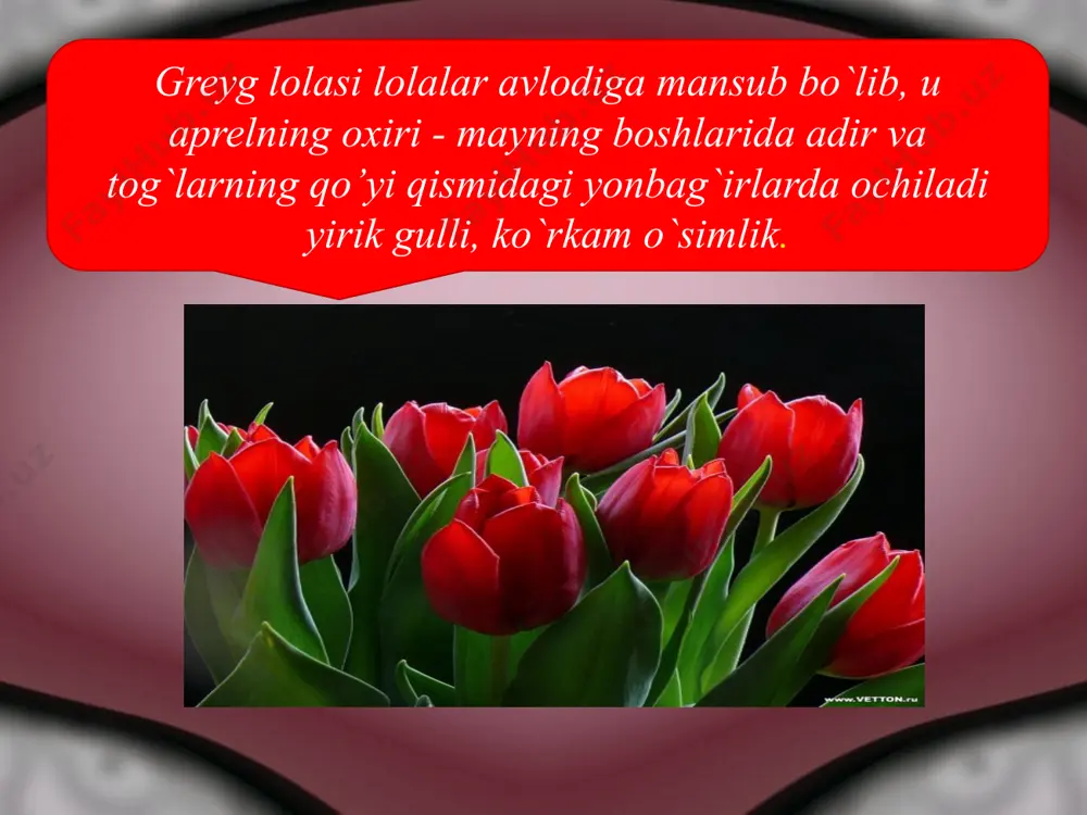 bir pallalilar sinfi - Page 5
