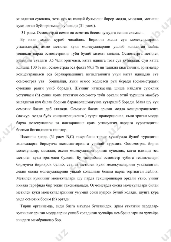 . тирик ҳужайра маълум бир даражада осмотик ячейка тарикасида ишлаб боради. муайян бир организмнинг ҳужайралари ва суюкликларидаги осмотик босим бир кадар доимий катталикни ташкил этади-ҳайвонларда 8 атм. дан усимликларда 60 атм. гача боради. сут эмизувчи ҳайвонларда бу босим 0,85% ли ош тузи (na cl)эритмасининг осмотик босимига мос келади. хужайрани ураб олган эритмадан тузлар концентрацияси мана шу катталикдан кам булса, бу эритманинг осмотик босимидан паст булиб чикади. бундай эритма гипотоник эритма деб аталади. бундай эритмада турган ҳужайра, унга сув кириши туфайли буртиб боради, ҳужайранинг ички муҳити билан ундан ташкаридаги осмотик концентрация фарки етарли даражада катта булса, ҳужайра ёрилиб, ҳалок булиб кетиши ҳам мумкин. бордию, ҳужайра концентрацияси юкори, яъни гипертоник деб аталадиган эритмада, бошкача айтганда осмотик босими бирмунча катта буладиган эритмада турадиган булса, у вактда сувни куп йукотиш туфайли ҳужайра бужмайиб, буришиб колади. бундай ҳодиса плазмолиз деб аталади ва баъзан ҳужайранинг нобуд булишига ҳам олиб келади (32-расм). тирик ҳужайра ёки тукиманинг концентрацияси …