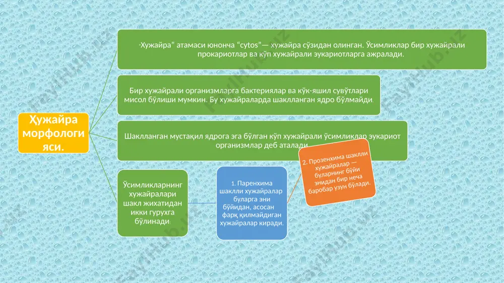 ҳужайранинг тузилиши - Page 4