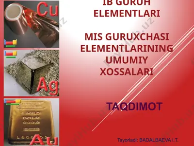 mis guruxchasi elementlari — PPTX