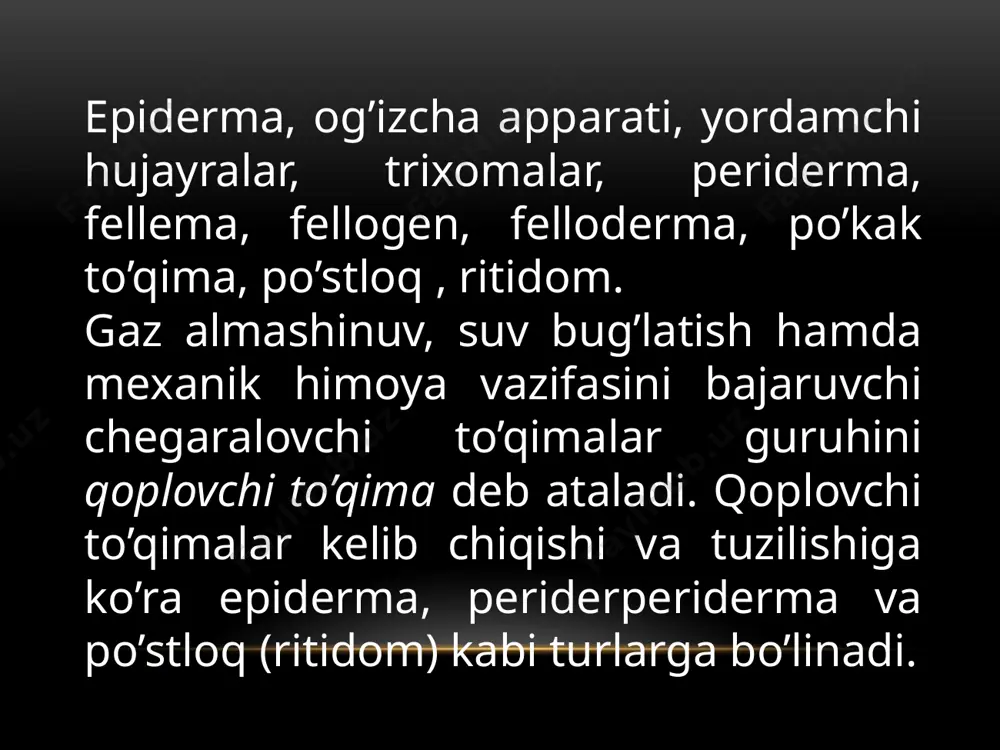 di. epiderma tashqi muhit bilan maxsus og’izchalar yordamida bog’lanadi. og’izchilar orqali gaz almashinuv va suv bug’latish kabi muhim hayotiy jarayonlar amalga oshadi. og’izchilar ikkita loviyasimon hujayralardan va ular o’rtasida joylashgan hujayra oralig’i – og’izchadan iborat. og’izchalar atrofida joylashgan epiderma hujayralari ko’pincha boshqa hujayralardan farq qiladi va ularni og’izchaning yordamchi hujayralari deyiladi. loviyasimon hujayra bilan birga yordamchi hujayralar murakkab og’izcha apparatini hosil qiladi. og’izchaning ustki va ostki tomonlarida oldingi va keyingi dahlizlar hamda og’izcha tagida havo bo’shlig’i joylashgan. og’izchalarning ochilib va yopilib turishi ichki va tashqi omillarga bog’liq. tashqi omillardan biri o’simlikni suv bilan ta’minlanganlagiga qarab og’izchalarning ochilishi va yopilishi kuzatiladi, shu bilan o’simlik bug’lantiradigan suv miqdori boshqarib turiladi. loviyasimon hujayralarning harakati turgor va plazmoliz hodisalariga ham asoslangan. trixomalar. epiderma hujayralari hosil qilgan o’simtalar trixomalar deb ataladi. ular nihoyatda xilma–xil bo’lib, ayrim sistematik guruhlar uchun xarakterli belgi hisoblanadi. trixomalardan tashqari o’simlikda uchraydigan emergenslarni farqlash kerak. emergenslarni hosil bo’lishida epiderma to’qimasidan tashqari …