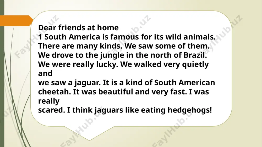 wild animals in south america - Page 5
