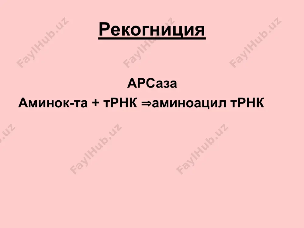 translyatsiyaning molekulyar asoslari - Page 4