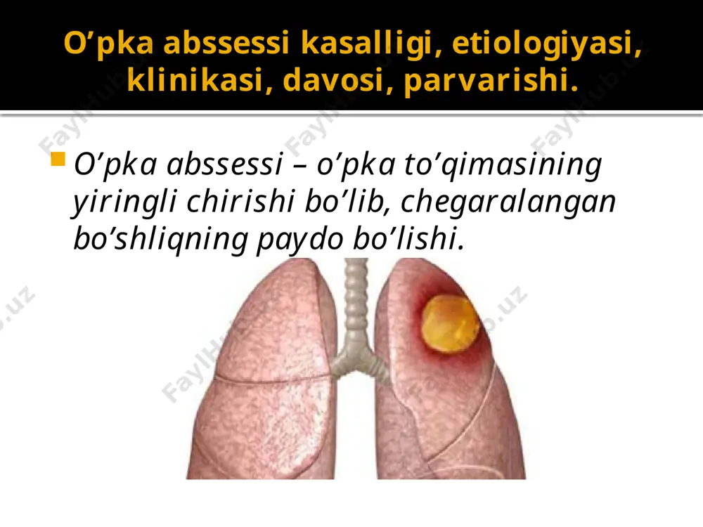 o'pkaabssessi va ekssudativ plevrit - Page 5