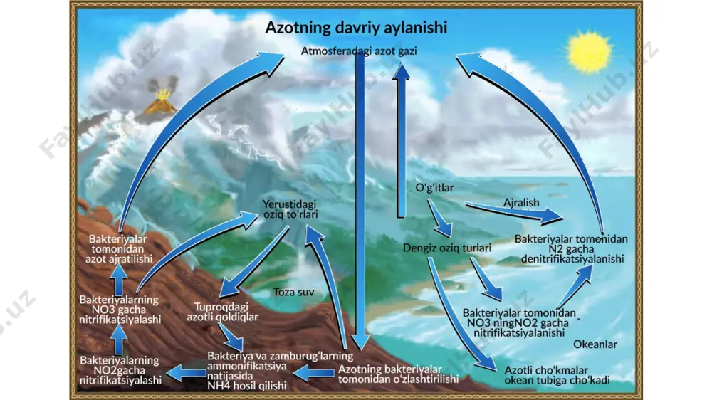 dasturlarda davlatlarning ishtiroki bilan muvaffaqiyatli bo'lishi mumkin. “o’lik dengiz” haqida bilasiz-mi… o’lik dengiz yer yuzidagi o’ziga xos suv havzasiga inson bergan g’alati nomlardan biridir. bu dengizni ilk marta yunonlar “o’lik”, qadimgi iudeya aholisi esa “sho’r” deb atagan. arab mualliflari uni “badbo’y dengiz” deb tilga olishgan. bu dengiz iordaniya va isroil o’rtasida joylashgan katta va sho’r ko’ldir. dengiz mintaqadagi mavjud chuqurlik yoki yer qobig’ida paydo bo’lgan. boshqa dengizlardan farqli o’laroq, o’lik dengizdan birorta ham daryo oqib chiqmaydi, aksincha shimol tarafdan iordan daryosi unga quyiladi. bundan tashqari tevarak-atrofdagi qirliklardan ham jilg’alar dengizga oqub tushadi. oshiqcha suv bug’lanib chiqib ketadi. shuning uchun ham dengiz suvu tarkibida haddan ziyod osh tuzi, karbonat angidridli kaliy (ishqor), xlorid, magniy bromidi va boshqa mineral tuzlar yig’ilib qolgan. o’lik dengiz dunyodagi eng sho’r dengizdir. uning suvi tarkibidagi tuzlar miqdori okean suvi tarkibidagi tuz miqdoridan 6 marta ko’p. bu suvning zichligini shu qadar oshirib yuborganki, unda cho’milayotgan odam hech …