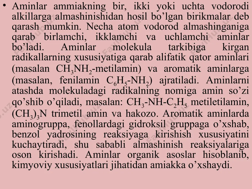 aminlar - Page 3