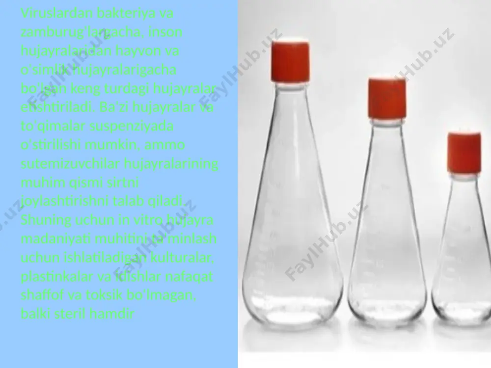 oiz to'g'ri keluvchi organlar transplantatsiyasiga yangi yo'l ochib beradi. tajriba jarayonida transplantatsiyaga noloyiq deb topilgan 73 ta donor yuraklardan yasalgan karkas tuzilmadan foydalanilgan. harvard tibbiyot muassasasining bir guruh genetiklar jamoasi bemor qabul qilmasligi mumkin bo'lgan hujayralarni yo'q qiluvchi maxsus detergent ishlab chiqishdi. hosil bo'lgan tuzilmaga texnika yordamida asos hujayrasiga aylantirilgan inson terisi hujayralari joylashtirildi 14 kundan so'ng maxsus suyuqlik ichida mushak to'qimalari yurak karkaslarini hosil qildi. organ yetilmagan, ammo normal yurak holatiga kelganida elektroimpuls ta'sir ko'rsatildi va buning natijasida yurak urishni boshladi. avvallari sichqon yuragi ustidan ana shunday tajriba o'tkazilib, o'z isbotini topgandi, biroq endi olimlar labaratoriya sharoitida inson yuragini yaratish mumkinligini isbotlashdi", deb xabar beradi popular science nashri britaniyadagi ekseter universiteti olimlari qon tomirlari ichini o'rab turuvchi endotelial hujayralar ustida tajriba o'tkazdi. tajriba davomida ular qari, ya'ni faoliyati yomonlashib, bo'linishdan to'xtagan hujayralar sonini 50 foizga ozaytirishga muvaffaq bo'ldilar. olimlar, shuningdek, endotelial hujayralar qarishida muhim o'rin tutadigan ikki proteinni aniqlashdi. …