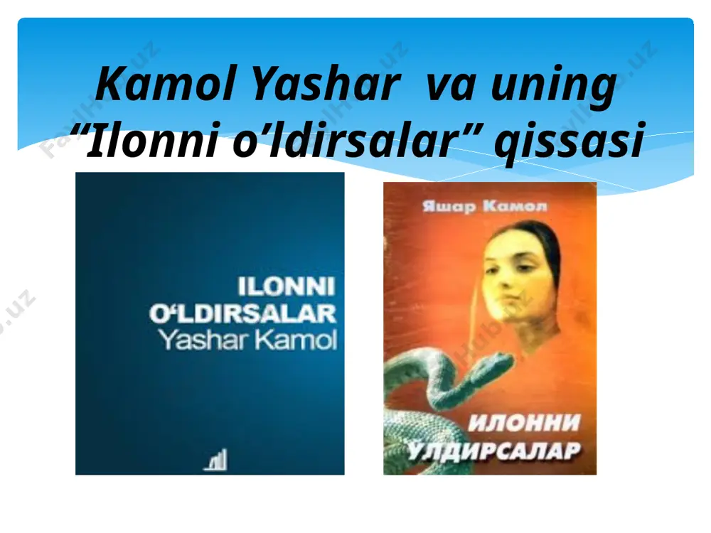 ismga aylantirib qo‘yadi. oq kafanli keldi. oldida bir suruv qirmizi ilonlar... «hasan», — derdi, — «hasan sen o‘g‘lim emasmisan? mening pushti kamarimdan bo‘lmaganmisan, hasan? otangni qutqarmaysanmi? mana oldimda yuzlarcha qirmizi ilon, bular ilon emas, qoni yerda qolgan, xuni olinmagan odamlar. o‘ldirilganlar, biroq o‘chlari olinmagan. arvohga aylanib, qirmizi ilon tusiga kirib yuribdilar. do‘zax moliklari meni bularga cho‘pon qilib qo‘ydi. mening ham qonim yerda qolsa, shu ilonlar holiga tushaman. otangning bu ahvoliga qanday chidaysan, hasan? o‘g‘lim emasmisan, rahming kelmaydimi menga? men qirmizi ilon bo‘lib, qiyomatga qadar shunday sudralib yurishga loyiqmanmi hasanim, bolam. oh ilonni o‘ldirsalar, o‘ldirsalar edi ilonni... oh, hasan...» e’tibor qarataylik… muallif qahramonning kechinmalarini juda katta mahorat bilan yoritgan. asar so‘ngida o‘quvchi, garchi o‘z onasini vahshiylarcha o‘ldirsa-da, hasandan nafratlanmasligi, uni ayblamasligi ham mumkin. chunki haqiqiy qotil aslida chuqurova qishlog‘ining johil odamlaridir. murg‘ak, beg‘ubor bolakay esa ularning bu maqsadlariga yetishlari uchun vosita, xolos. qissada mazkur ziddiyatli haqiqat aks etganining o‘ziyoq yashar kamol …