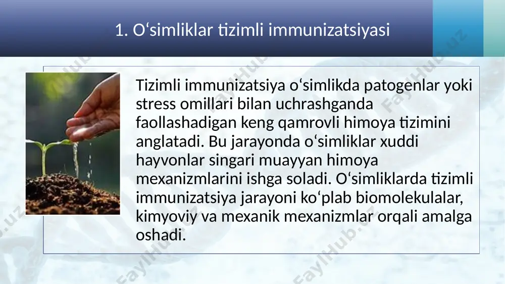 di. isr jarayonida: • mikroorganizmlar yordamida qarshilikni oshirish: ayrim o‘simliklar o‘zlarining ildizlari orqali foydali mikroorganizmlar bilan simbioz (birga yashash) shakllantiradi va bu o‘zgarishlar o‘simlikning tashqi zararlarga qarshi chidamliligini oshiradi. • mikrobial induksiya: o‘simliklar ko‘pincha foydali mikrobiyal organizmlar yordamida himoya mexanizmlarini faollashtiradi. 3. fitorimediatsiya va toksinlarni yo‘q qilish: o‘simliklar nafaqat zararkunandalardan, balki zararli kimyoviy moddalar yoki og‘ir metallarni olib tashlashda ham himoya qilish mexanizmlarini ishga soladi. fitorimediatsiya jarayonida o‘simliklar o‘z ildiz tizimi orqali bu moddalarni o‘zlashtirib, xavfli elementlarni biologik ravishda bartaraf etadi. 3. tizimli immunizatsiyani oshirish uchun qo‘llaniladigan usullar • biologik preparatlar va stimulyatorlar: o‘simliklarning immun tizimini kuchaytirish uchun o‘simlik biologik stimulyatorlari va mikroorganizmlardan foydalanish mumkin. bular, o‘simlikni kasalliklarga qarshi tabiiy chidamliligini oshiradi. • o‘simliklarning selektsiyasi va genetik modifikatsiya: genetik jihatdan o‘zgartirilgan o‘simliklar patogenlarga qarshi ko‘proq chidamli bo‘lishi mumkin. bu orqali tizimli qarshilikni oshirish va kasalliklarning tarqalishini kamaytirish mumkin. • ekologik qishloq xo‘jaligi texnologiyalari: o‘simliklar va ularning atrof-muhitini himoya qilishda ekologik …