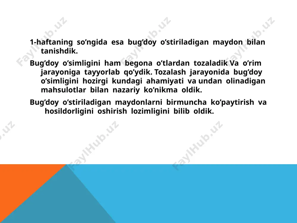 malakaviy amaliyot jarayoni - Page 5