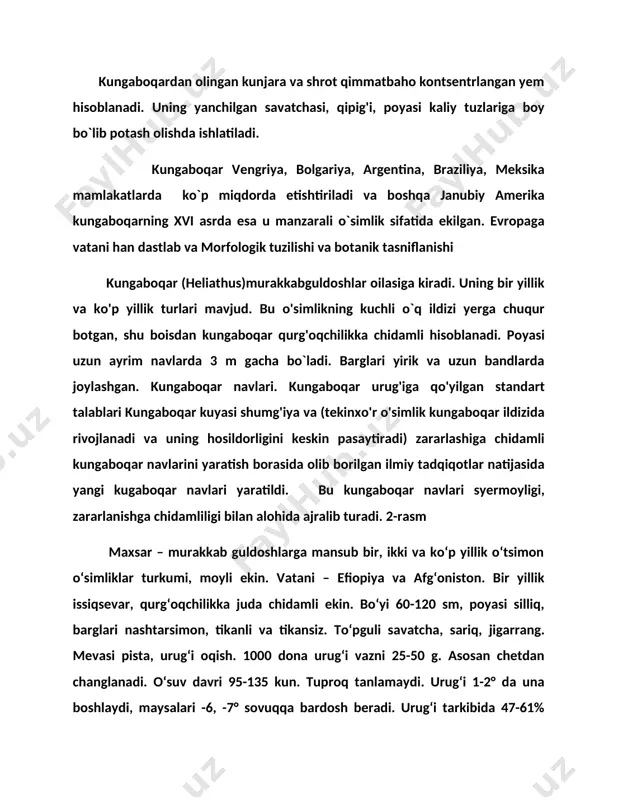 asm efir moyli ekinlar — efir moylari olish uchun yetishtiriladigan ekinlar guruhi; texnika ekinlari. ayrim organlari (guli, urugʻi, mevasi, poyasi, ildizpoyasi, bargi va boshqalar) yoki tanasida efir moylari (xushboʻy moddalar) toʻplaydi. efir moyli ekinlarining daraxt, buta va bir va koʻp yillik oʻtlar turlari bor. ular tropik, subtropik mintaqalarda koʻp tarqalgan, moʻtadil iqlimli hududlarda ham ekiladi. oʻzbekistonda efir moyli oʻsimliklarning 50 oilaga kiruvchi 233 turi mavjud, lekin ayrimlari (arpabodiyon, jambil, kashnich, qora zira, yalpiz va boshqalar) maxsus ekiladi. efir moyli ekinlarining baʼzi turlarining mevasi va bargi tarkibida 1,5% dan 6—7% va undan ortiq efir moyi (atenol, mentol, yevgenol va boshqalar), shuningdek, 11—27% texnik moy bor. jahon dehqonchiligida efir moyli ekinlaridan atirgul, yorongul, lavanda, yalpiz asosiy ahamiyatga ega. oʻsimliklarning xushboʻyligi efir moylarining miqdori, tarkibi va sifatiga bogʻliq. birlashgan millatlar tashkiloti oziq-ovqat va qishloq xo‘jaligi tashkilotiga (fao) ko‘ra, bugungi kunda dunyo bo‘yicha 324,5 mln gektar maydonda 21 turdagi 1 101 mln tonna moyli …
