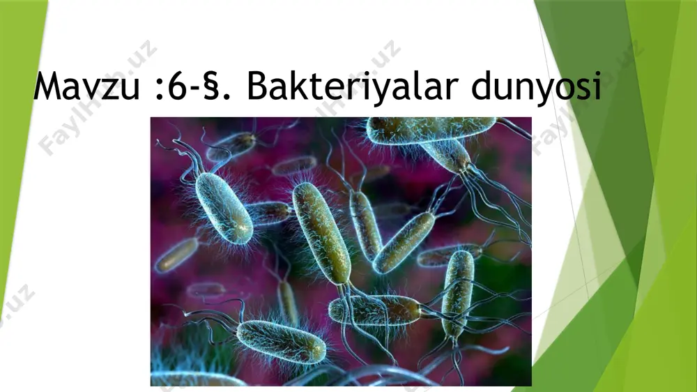 bakteriyalar dunyosi - Page 3