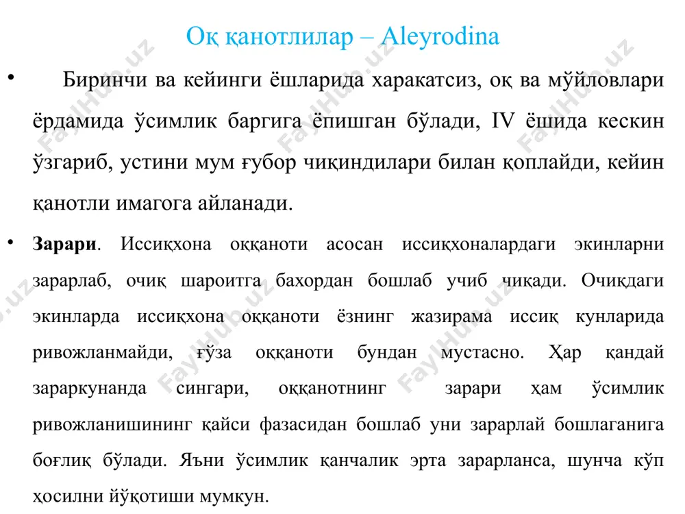 тенг қанотлилар туркуми - Page 5
