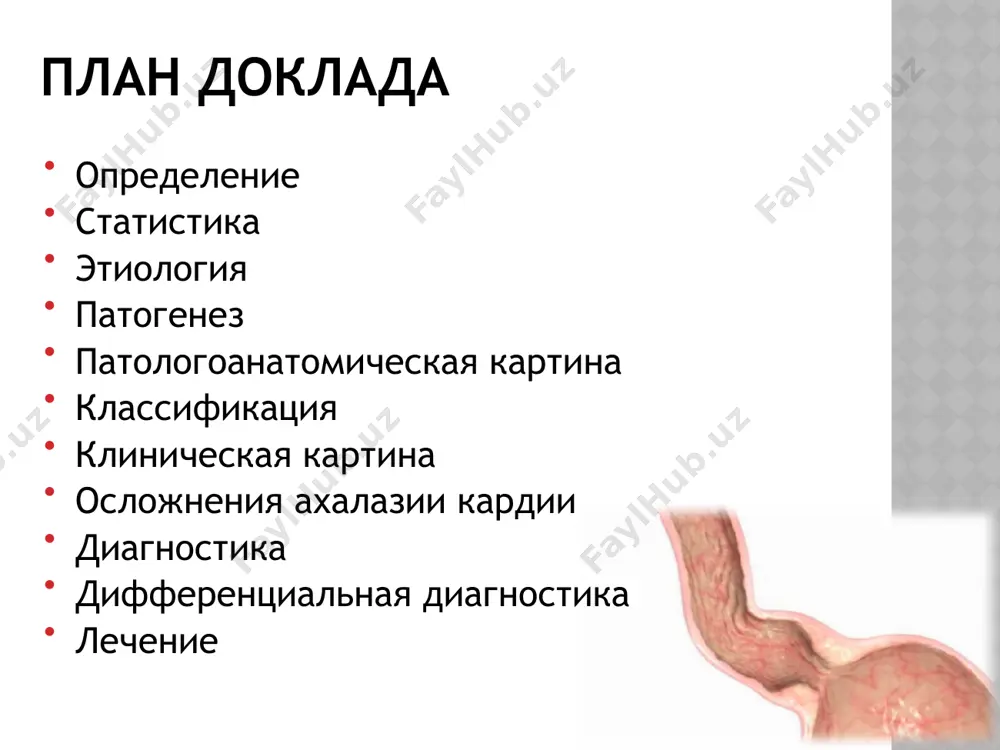 гут рассматриваться как истинный «кардиоспазм», так как основным механизмом, нарушающим проходимость кардии при ахалазии, является не гипертонус сфинктера, а отсутствие расслабления его при глотании. повышение давления в физиологической кардии при этом является вторичным и обусловлено реакцией ее на посто­янное давление заполняющего пищевод содержимого, рубцово-воспалительными изменениями в тканях терминального отдела пище­вода и потерей ими эластичности. при ахалазии кардии одновременно изменяются тонус и пери­стальтика пищевода. вместо распространяющихся к желудку пе­ристальтических сокращений появляются непропульсивные волны, к ним присоединяются сегментарные сокращения стенки пищевода. пища долго задерживается в пище­воде и поступает в желудок вследствие механического раскрытия кардии под влиянием гидростатического давления столба жидкости над ней. длительный застой пищевых масс, слюны и слизи в пище­воде приводит к значительному расширению его просвета, развитию эзофагита и периэзофагита, что в свою очередь усугубляет наруше­ния перистальтики пищевода. патологоанатомические изменения пищевода в выраженных случаях заболевания отмечают расширение пищевода в диаметре до 15— 18 см, его удлинение, вследствие чего он может принимать …