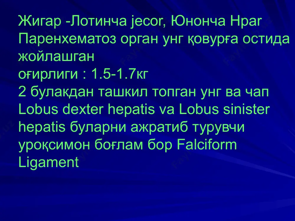o ichki strukturasiga ko'ra jigarni ikkita deyarli teng bo'lakka ajratish mumkin, bu chegara o't pufagi o'rnini pastki kavak venaning chap cheti bilan tutashtiruvchi chiziqqa mos keladi. bo'lakning qon tomir va o't yo'llari sektoral va segmentar shoxlarga ajraladi. darvoza venasi, jigar arteriyasi va o't yo'llarining (glisson uchligi) a'zo ichida shoxlanishi o'ziga xos qonuniyat asosida boradi. bu triada ingliz anatomi glisson (glisson) tomonidan 1654 y. da ta'riflangan. jigarda 5 sektorda joylashgan 8 ta segment farqlanadi, ularning o'lchami jigarning shakliga qarab o'zgarib turadi. segment oyoqchalarini bog'lash operatsiyalarda qon yo'qotilishini ancha pasaytiradi. bo'lak sektor segment chap chap dorsal i (si) chap lateral ii (sii) chap paramedian sh (sii) iv (civ) o'ng o'ng paramedian v(cv), viii (cviii) o'ng lateral vi (cvi), vii (cvii) qon bilan ta'minlanishi va innervatsiyasi umumiy jigar arteriyasi – xususiy jigar arteriyasi – o'ng va chap jigar arteriyalari. o't pufagi arteriyasi (o'ng jigar arteriyasi tarmog'i). kalo uchburchagi. adashgan nervlar, quyosh chigali, jigar …