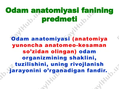 odam anatomiya sifanining predmeti — PPTX