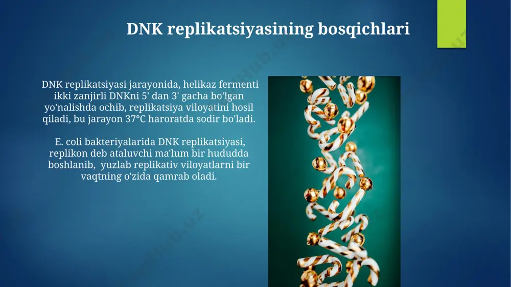 rnkni uch o'lchovli tuzilishi, misol uchun, trnk ning yonbag'ir shakliga ega bo'lishi, 70 dan ortiq nukleotidlardan tashkil topgan bo'lishi va hujayraning sitoplazmasida joylashganligini ko'rsatadi. rnkning transkripsiyasi evkaryotlarda, rnkning transkripsiyasi hujayraning yadrosi ichida sodir bo'lib, pre-mrnk molekulasi hosil bo'ladi va keyinchalik 3' va 5' uchlarida modifikatsiyaga uchraydi, masalan, polya dumining qo'shilishi. rnkning transkripsiyasi jarayonida dnkning 2000 dan ortiq bazaviy juftligi o'z ichiga olgan promotor mintaqasi, rnk polimeraza fermentining birikishi uchun muhim ahamiyatga ega bo'lib, transkripsiyaning boshlanishini belgilaydi. rnk turlari va ularning vazifalari mrna, dnkning transkripsiyasi natijasida hosil boʻladi va genetik kodni ribosomalarga yetkazib beradi, bu yerda 20 ga yaqin turdagi aminokislotalardan oqsil sintezi amalga oshiriladi. trna molekulalari, 70 dan ortiq nukleotidlardan tashkil topgan boʻlib, hujayraning sitoplazmasida aminokislotalarni ribosomalarga olib boradi va oqsil sintezida muhim rol oʻynaydi. genetik kod mitoxondriyada joylashgan genetik kodning yadrodagi genetik koddan farq qilishi, masalan, ba'zi kodonlarning boshqa aminokislotalarni kodlashi kuzatiladi. genetik kodning universalligi deyarli barcha organizmlarda, bakteriyalardan …