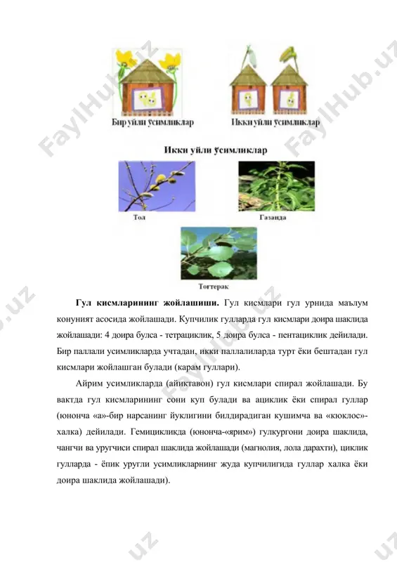 чиннигул, зигир). адабиётлар: 1. ашурметов о а., каршибоев х.к. репродуктивная биология солодки и раздельнолодочника. ташкент. фан. 1995. 212 с. 2. батыгина т.б. эмбриология цветковых растений. санкт-петербург. мир и семья. 2000. т.3. с.258. 3. бейдемен и.н. методика изучения фенологии растений и растительных сообществ. новосибирск. наука.1974.153 с. 4. борисов и.в. сезонная динамика растительного сообществлолевая геоботаника. л.наука. 1972. т.4. с.5-94. 5. пономарев а.н. изучение цветения и опыления растений. полевая геоботаника. м-л. 1960. т.2. с.10-11. 6. турсунов ж. антэкология и эмбриология сапониноносных гвоздичных средней азии.тошкент, фан, 1988. 7. каршибоев вд. антэкология махсус курсидан укув-методик мажмуа (укув кулланма). -гулистон. 2008. - 84 бет. 8. демьянова е. и.антэкология (учебное пособие для студентов и магистрантов биологического факультета, обучающихся по направлениям «биология» и «экология и природопользование). пермь, 2010. 9. иванов е. с, суворова с. а., барановская е. п. некоторые терминологические аспекты и основные задачи антэкологии] // вестник рязанского государственного университета им. с. а. есенина. выпуск№18.2008 .