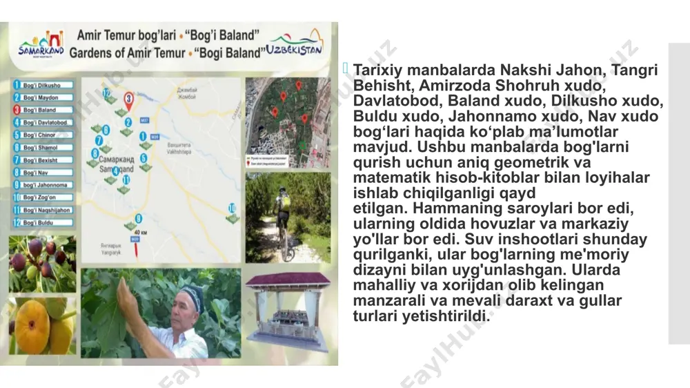 sh etadi. shaharning yashil hududlari 35-40 ming kvadrat metrgacha kengaytirildi, 250 dan ortiq yangi gul ko‘chatlari o‘tqazildi. umuman olganda, keyingi yillarda samarqand shahri hududida 100 ming tupdan ortiq kashtan, lola, yapon sophora, sharqiy archa, qayin, 12 ming tup gulli buta ko‘chatlari ekildi. e’tiborli jihati, avvallari bu ko‘chatlar xorijdan olib kelingan bo‘lsa, hozir mahalliy fermer xo‘jaliklarida daraxt va gul ko‘chatlari yetishtirish uchun yetishtirilmoqda. optimal mikroiqlim va toza havoni saqlashda favvoralar muhim rol o'ynaydi. shu bois har yili bog‘lar, istirohat bog‘lari, shahar maydonlarida zamonaviy favvoralar barpo etishga alohida e’tibor qaratilmoqda. ilgari sanoqli favvoralar bo‘lgan shaharda bugun qirqdan ortiq ana shunday gidrotexnik inshootlar ishlab turibdi. universitet maydoni, shoirlar bog‘i, ruxobod va ko‘ksaroy maydonlarida, registon va dahbed ko‘chalari kesishmasida, vokzal hududida musiqali yorug‘ favvoralar barpo etildi. joriy yilning 1 may kuni mazkur maskanlarda sayil favvoralari o‘tkazildi. image1.jpeg image2.jpeg image3.jpeg image4.jpeg image5.jpeg image6.jpeg image7.jpeg image8.jpeg