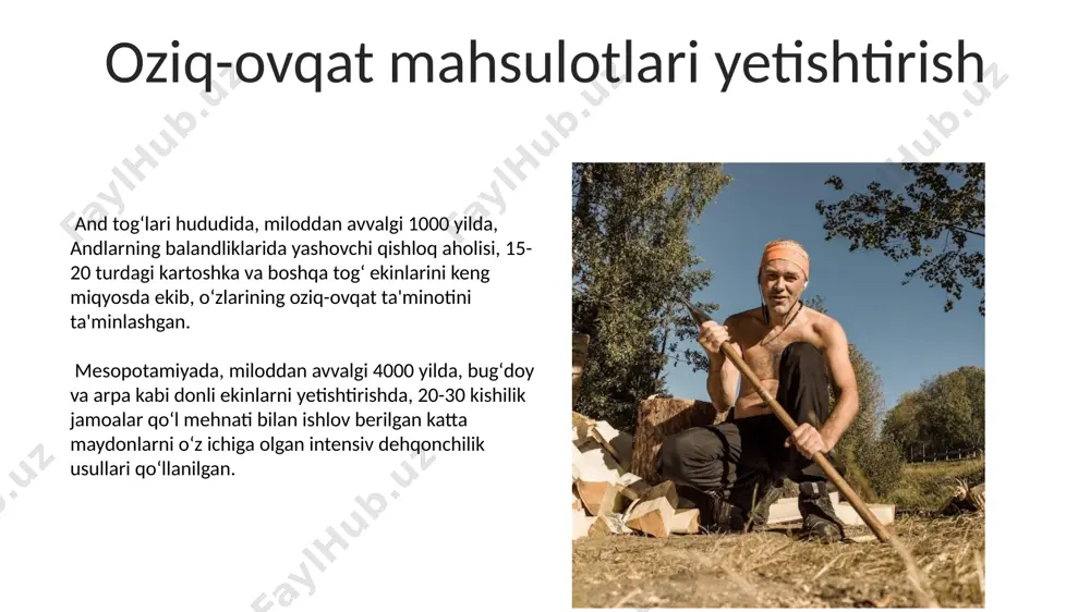 eng qadimgi odamlarning mehnat faoliyati va turmush tarzi - Page 5