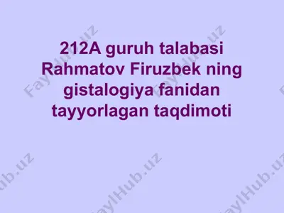 nerv sistemasi morfofunksional tasnifi — PPTX