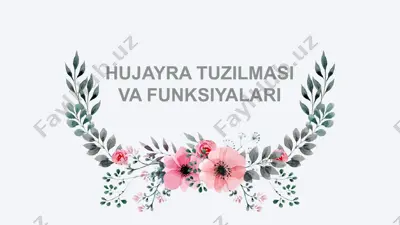 hujayra tuzilmasi va funksiyalari — PPTX