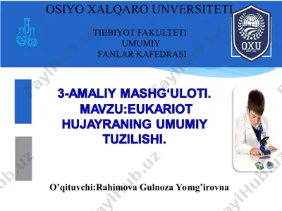 hujayralarning bo'linishi — PPT