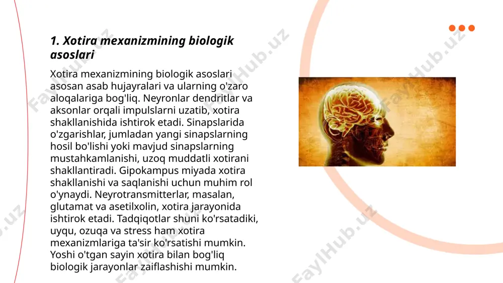 sh tarzi muhim ahamiyatga ega. ... t.me/slaydai_bot qarilikda xotira pasayishi bir nechta sabablarga ko'ra yuzaga keladi. keksayish jarayonida miya hujayralari o'zining yoshga bog'liq pasayishini boshdan kechiradi. altsgeymer kasalligi, parkinson kasalligi yoki boshqa nevrodegenerativ kasalliklar, shuningdek, demans xotira zaiflashuviga olib kelishi mumkin. kognitiv faoliyatning pasayishi miyaning neyrokimyoviy muvozanatining buzilishi, jumladan, dopamin va serotonin kabi neyrotransmitterlar darajasining kamayishi bilan bog'liq bo'lishi mumkin. o'tkazilgan tadqiqotlar shuni ko'rsatmoqdaki, 65 yoshdan oshgan odamlarning taxminan 15 foizida kognitiv qobiliyatlar sezilarli darajada pasayadi. stress, uyqusizlik va to'g'ri ovqatlanmaslik ham xotira pasayishiga hissa qo'shadi. ... t.me/slaydai_bot 7. xotira turlari va ularning yoshga qarab farqlanishi xotira turlari uchta asosiy turga bo'linadi: qisqa muddatli, uzoq muddatli va hissiy xotira. qisqa muddatli xotira odatda bir necha soniyadan bir necha daqiqagacha davom etadi va yangi ma'lumotni eslab qolish uchun ishlatiladi. uzoq muddatli xotira esa yillar davomida saqlanadi va kengroq bilimlar bazasini ta'minlaydi. hissiy xotira esa voqealarga nisbatan hissiyotlar asosida shakllanadi. yoshga qarab, …